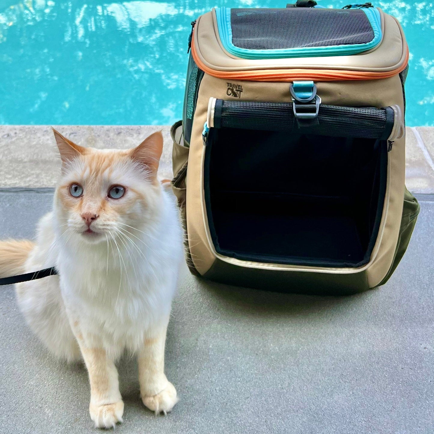 "The Navigator Earth" Convertible Cat Backpack - For Adventurous Cats and Humans