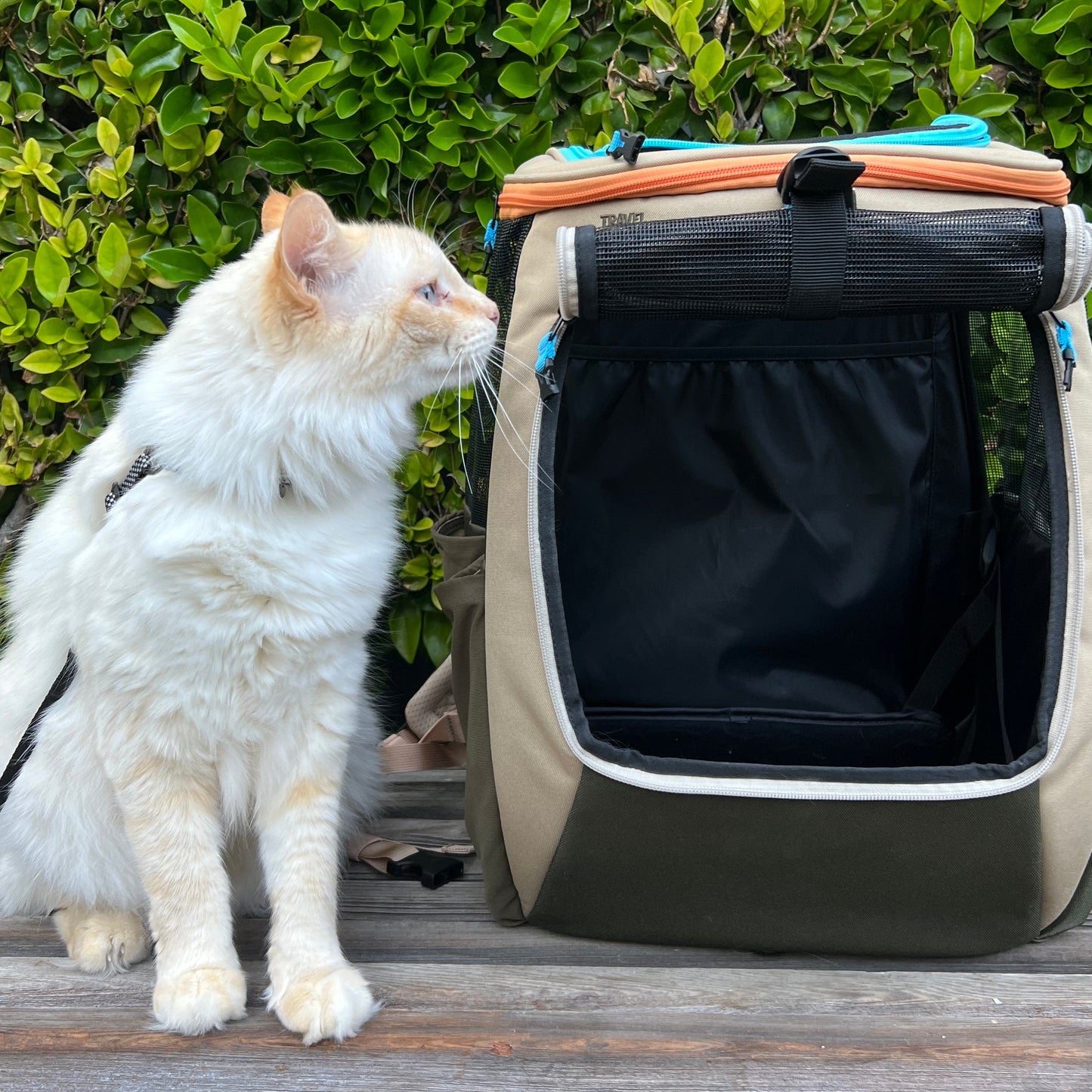 "The Navigator Earth" Convertible Cat Backpack - For Adventurous Cats and Humans